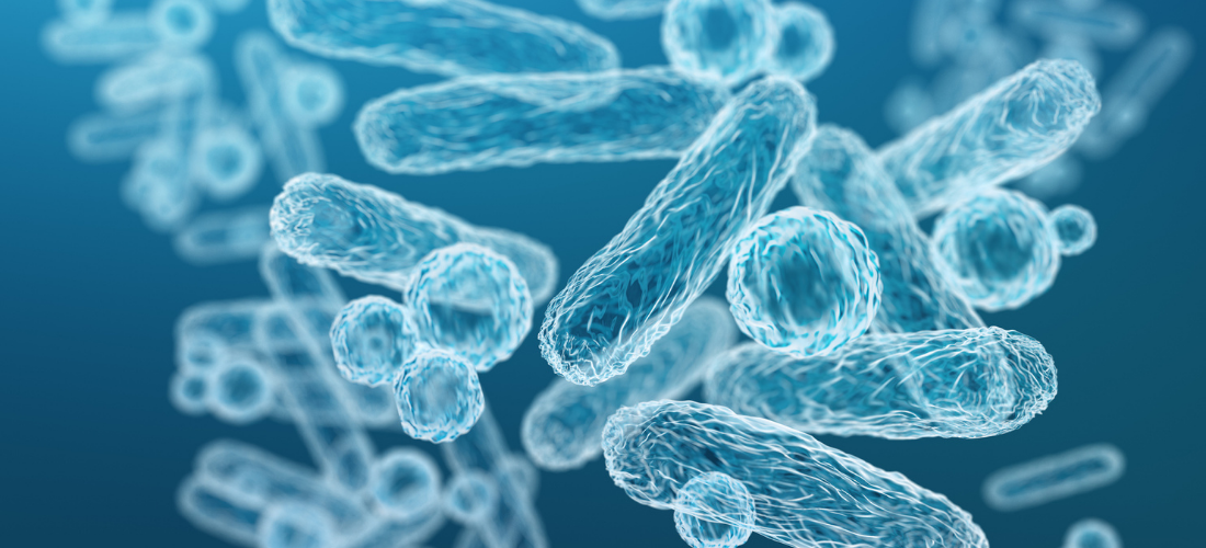Hands wearing blue latex gloves holding an oral x-ray, close-up of 3d microscopic blue bacteria, infectious Disease illustration | Doylestown Health